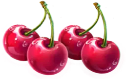 Cherries symbol payout Jingle Coins slot