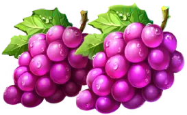 Grapes symbol Jingle Coins paytable