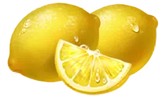 Orange & lemon symbols Jingle Coins paytable
