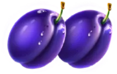 Plum symbol Jingle Coins paytable