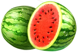 Watermelon symbol Jingle Coins paytable